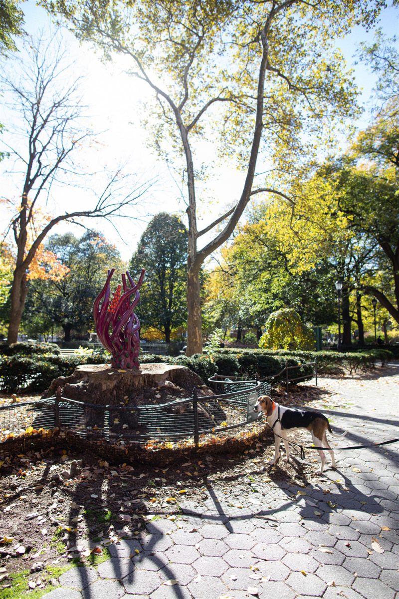 Nurturing Tree sculpture viewed from across a sunlit path in Stuyvesant Square Park.